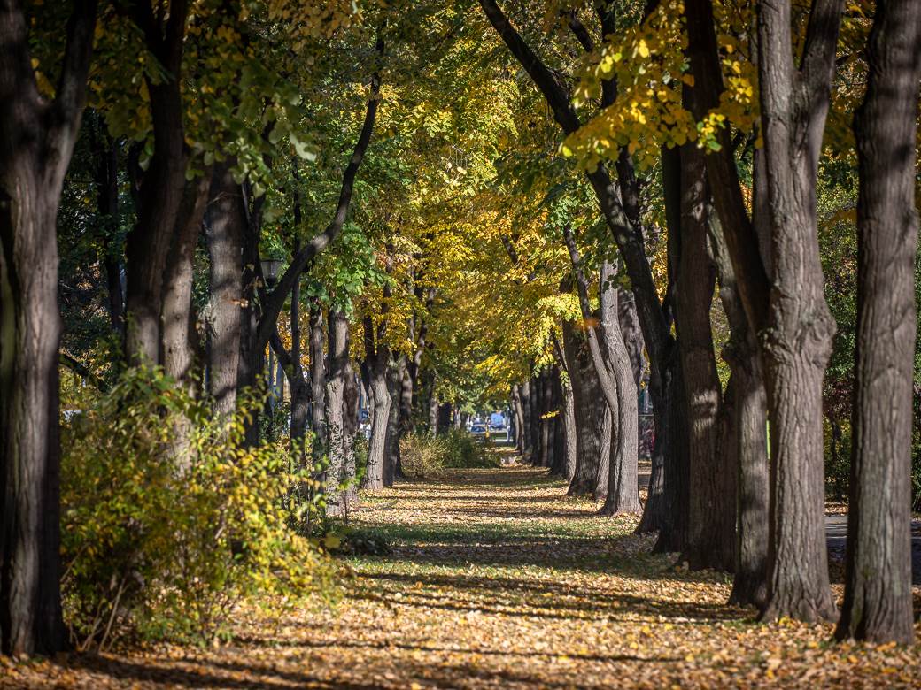 Prvi Dan Jeseni 2022 Mondo