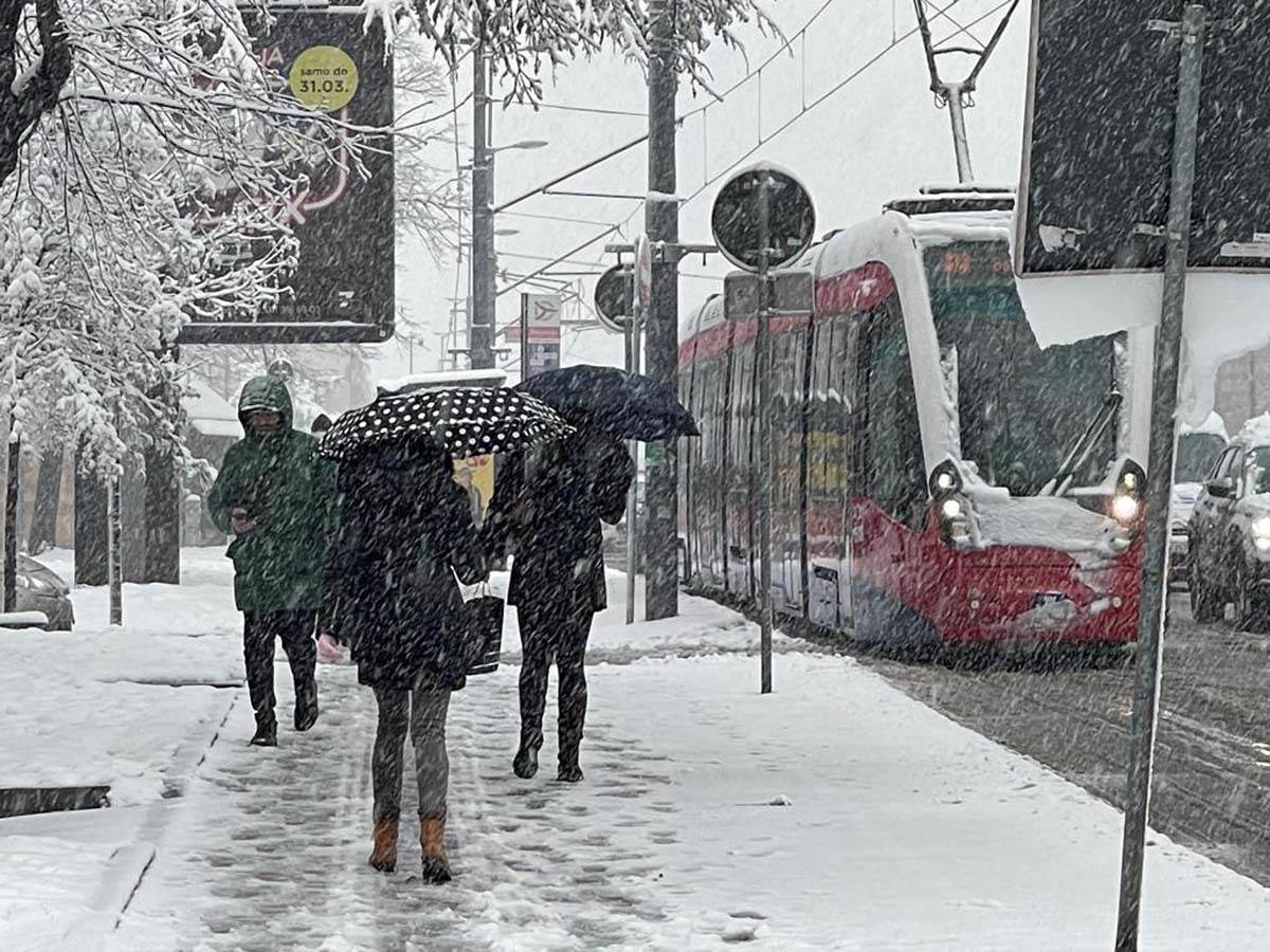 Kolaps na Slaviji! Palo drvo na tramvaj, saobraćaj u prekidu u centru Beograda