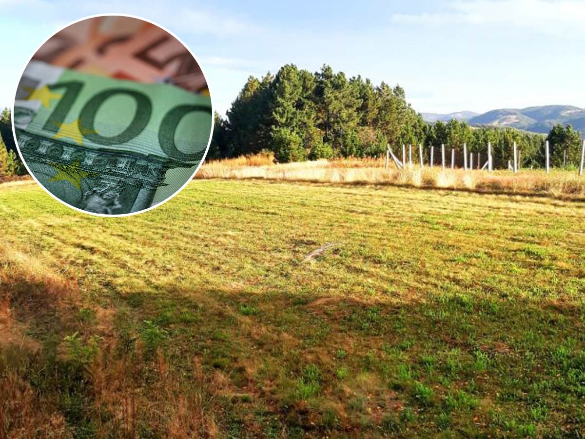 Poljoprivrednici, obratite pažnju: Evo kada počinje prijava za povoljne kredite Poljoprivrednici, obratite pažnju: Evo kada počinje prijava za povoljne kredite