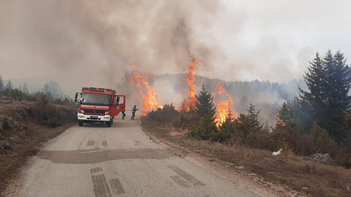 Veliki požar u Novom Sadu: Crni dim se širi gradom, vatrogasci se bore sa vatrenom stihijom (Video)