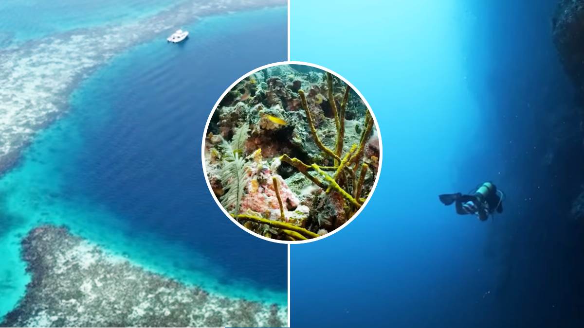 Naučnici zaronili u Veliku plavu rupu, svetu prete snažne tropske oluje ...