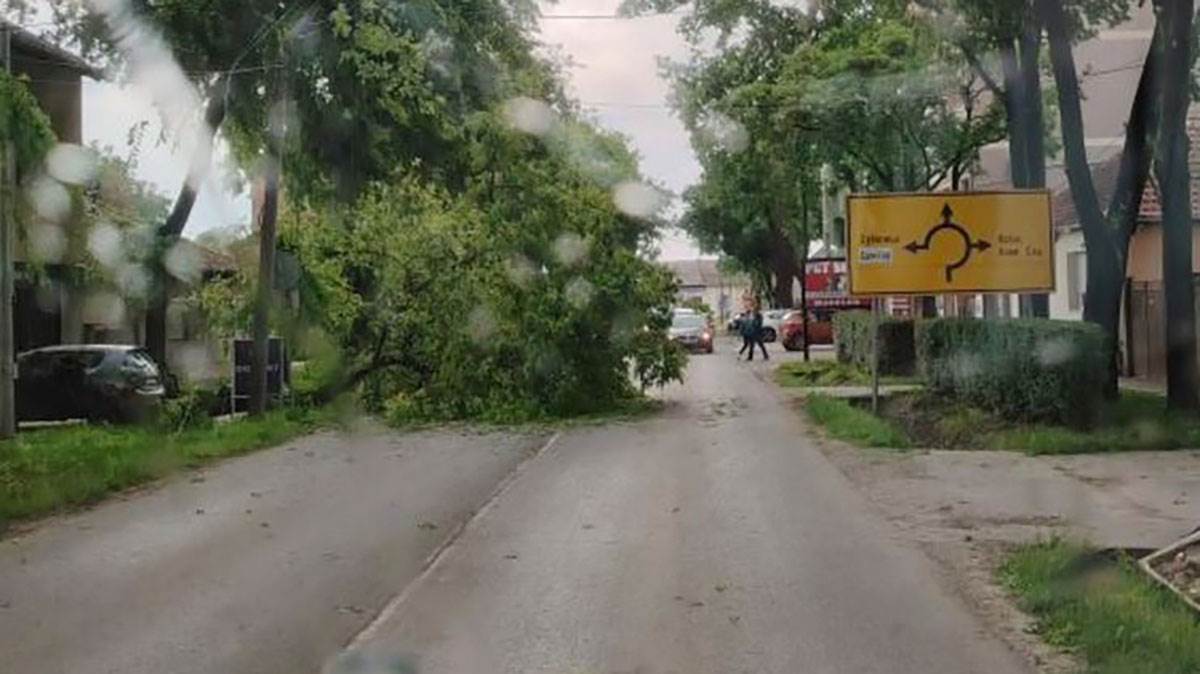 Olujni vetar ruši drveće u Srbiji, sprema se nevreme u Srbiji