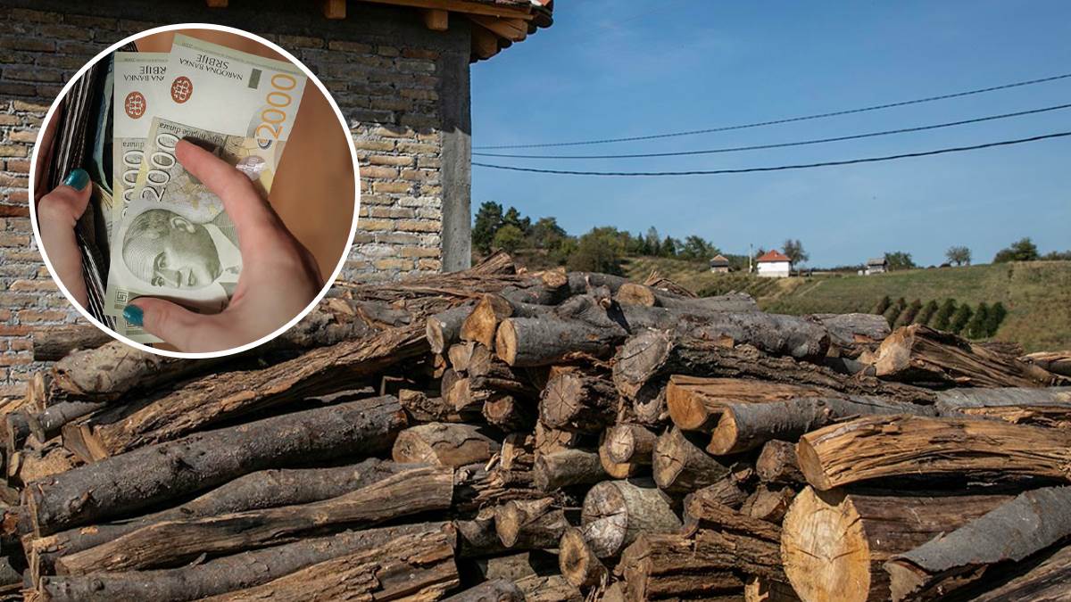 Ko ima pravo na drva po ceni od 2.900 dinara za kubik? Jedna grupa građana Srbije dobija besplatan ogrev