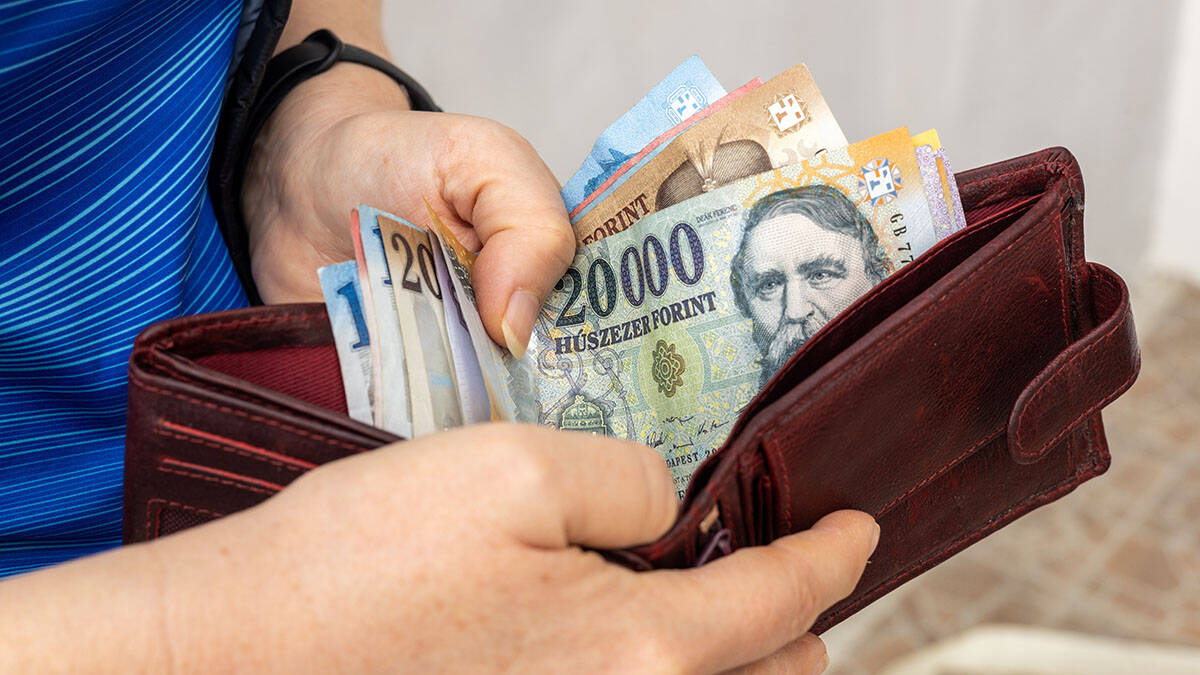 Mađarska valuta naglo pala za samo nekoliko dana: problemi u nuklearki i nizak Dunav uzdrmali forintu