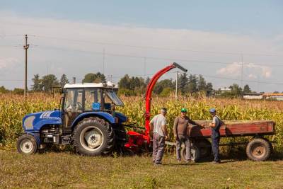 Kriza na Bliskom istoku potresa svetsko tržište: Da li su hrana i đubrivo u Srbiji sigurni?