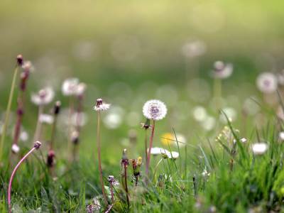 Dobro osmotrite nebo: U petak tačno u 15:46 časova ulazimo u novi ciklus