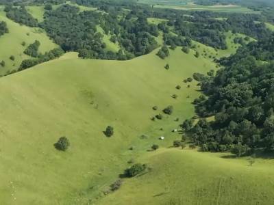 Na samo 75 kilometara od Beograda nalazi se pustinja: "Evropska Sahara" je prirodni fenomen, neverovatno izgleda