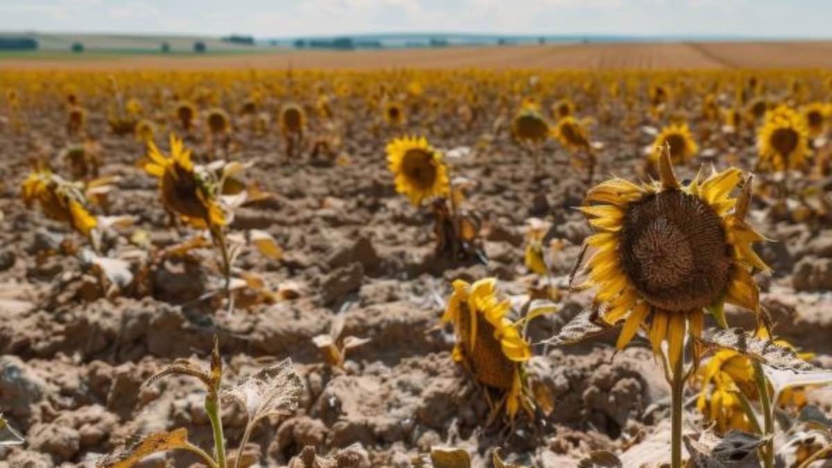 Meteorolozi prate šta se budi u Pacifiku: Posledice bi mogle da stignu i do Balkana