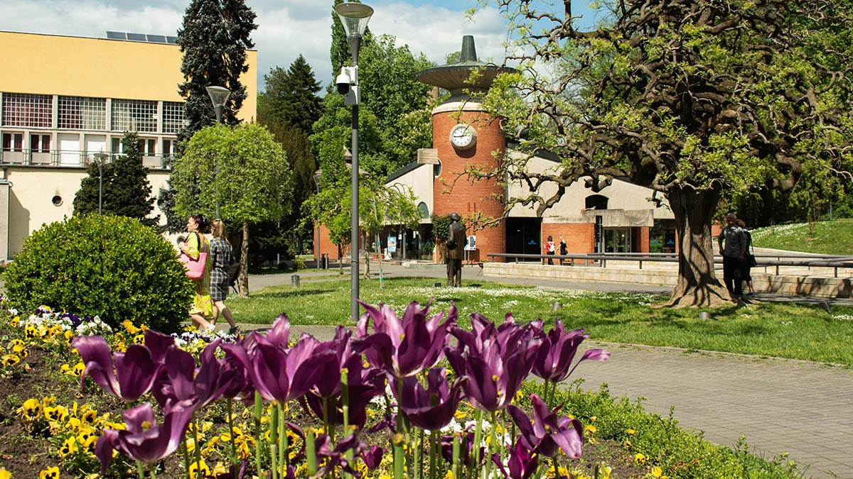 Najtužnija ljubavna priča Srbije krije se u Vrnjačkoj Banji: Zbog Nade i Relje nastao je Most ljubavi