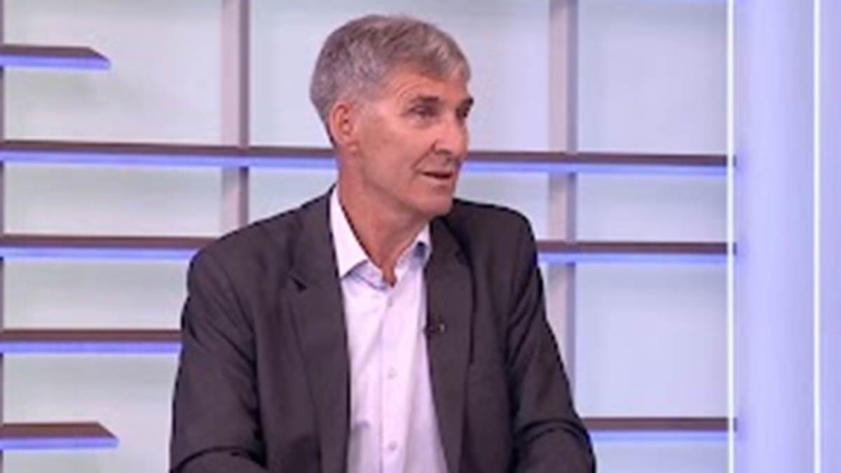 "Ako radi nemačka fabrika, radi i srpska": Profesor Savić objasnio kako kriza nemačke industrije utiče na firme u Srbiji