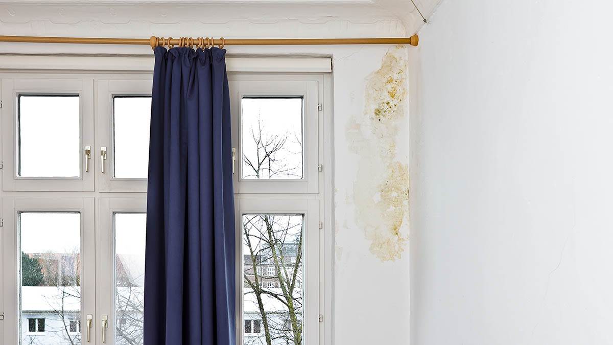 "Pametni zidovi" su budućnost enterijera: Nova tehnologija krečenja rešava vlagu i štiti od buđi