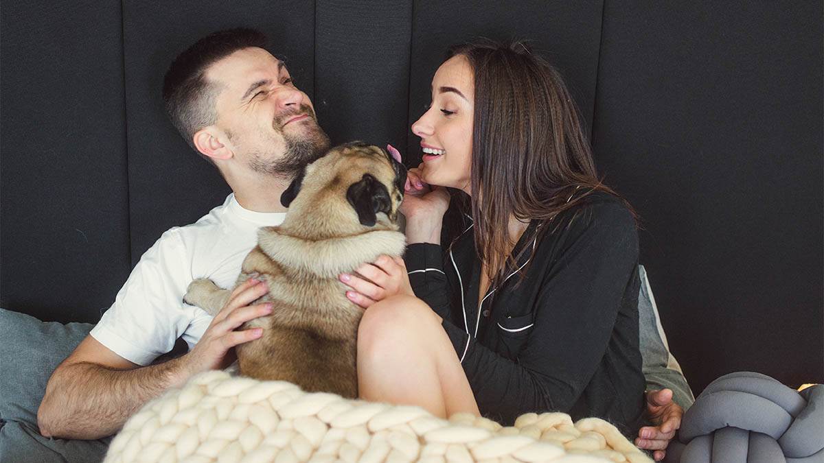 Pravi razlog zašto se pas uvlači između parova: Ceo život grešite ako mislite da je ljubomoran