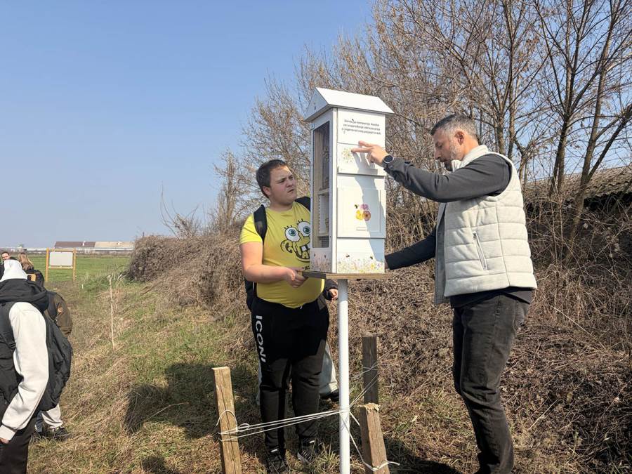 Kako su pčele dobile hotele