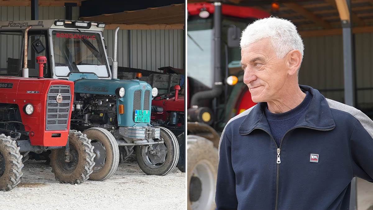 Bogdanovići neguju zaboravljen srpski običaj: Nagrada je pečeno prase, a jedna stvar je presudna