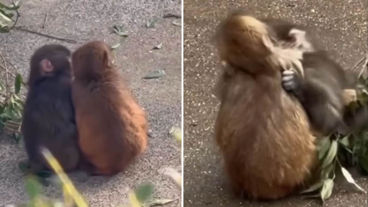 Panč je našao devojku i ljudi na internetu su oduševljeni: "Ok, moramo da proverimo da li su joj namere čiste"