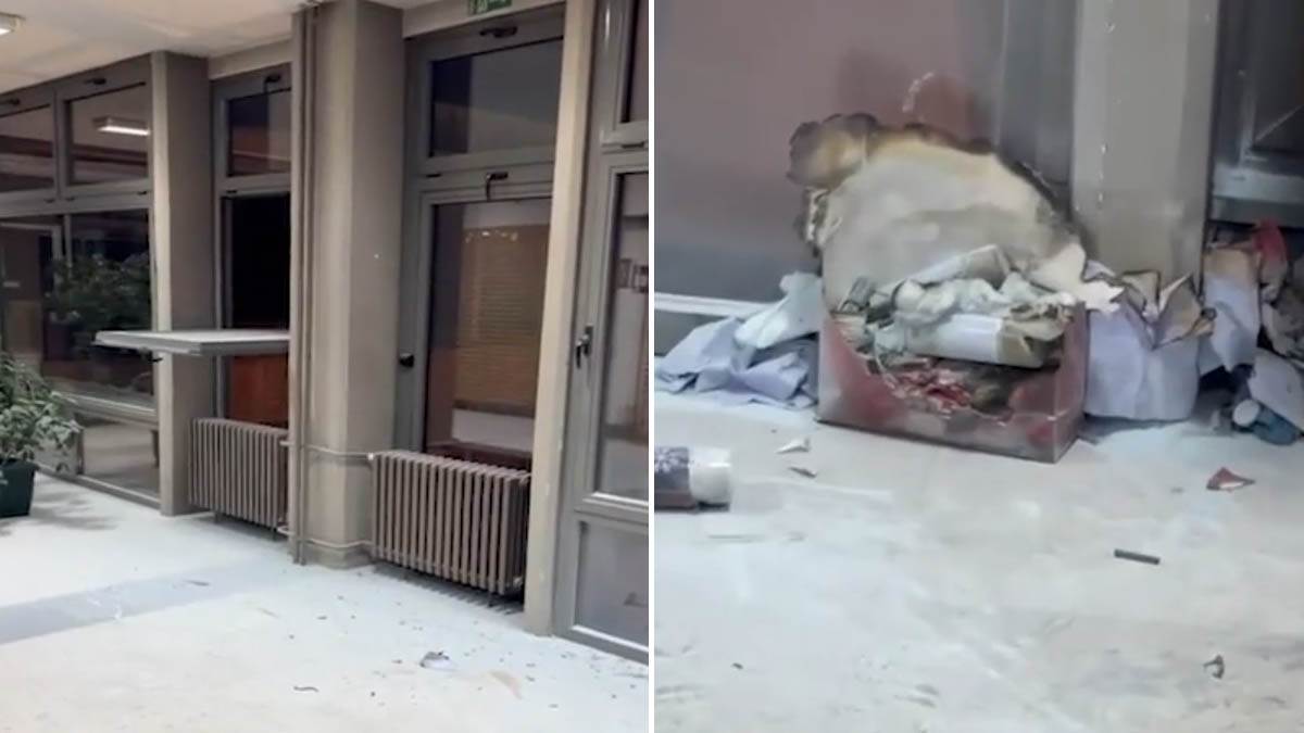 Šta se dogodilo na Filozofskom i ko je odgovoran? Zapalila se pirotehnika, devojka skočila sa petog sprata