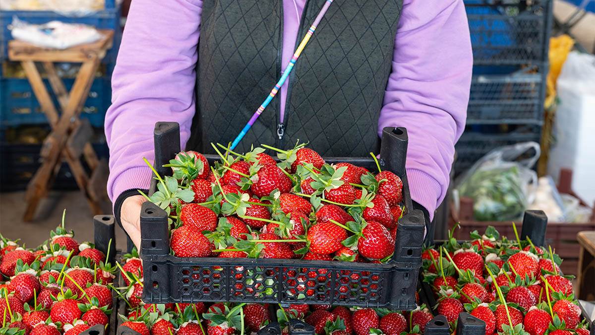 "Najprljavije" voće i povrće za 2026: Gotovo 100 odsto testiranih pozitivno na pesticide, a mi ih jedemo stalno