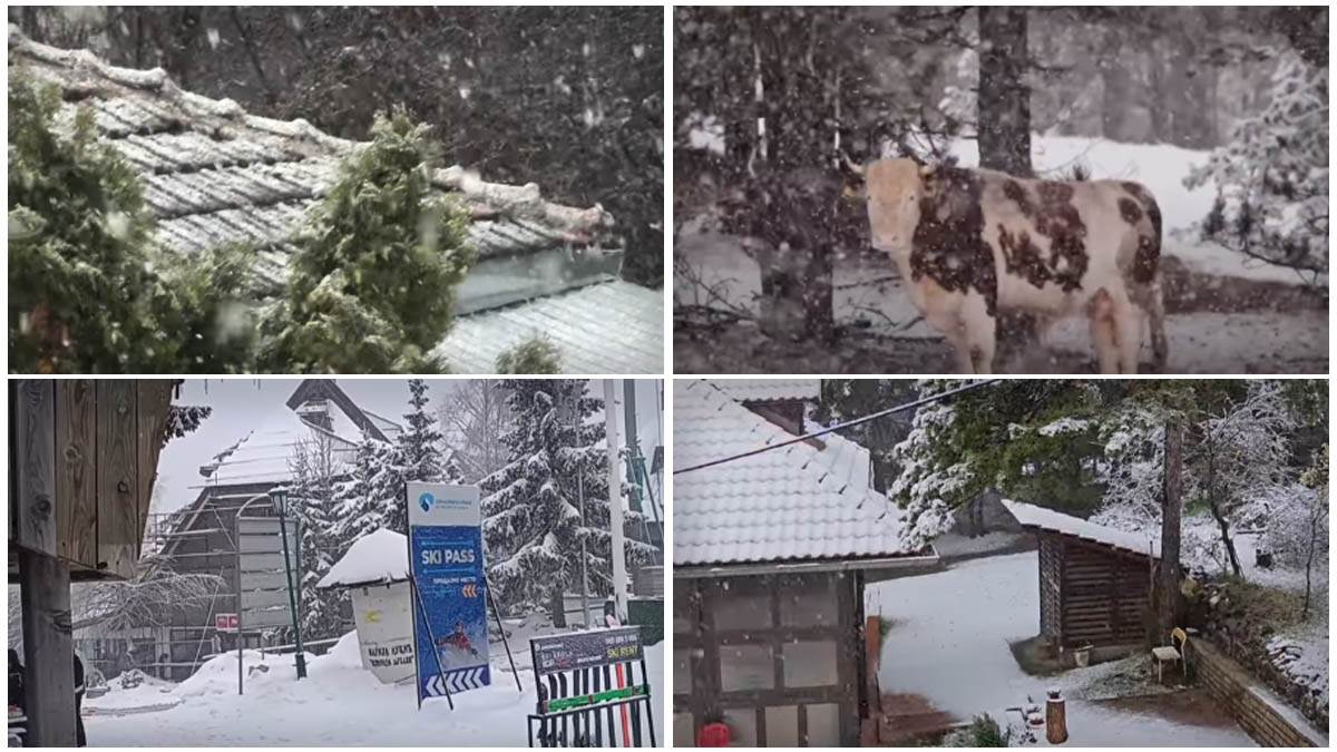 Sneg širom Srbije: Totalni kolaps kod Topole i Valjeva, na snazi zabrane na ovim putnim pravcima