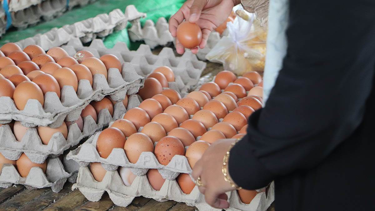 Koliko ranije treba da kupite jaja za Uskrs? Zaboravite na pravilo "što svežije, to bolje"