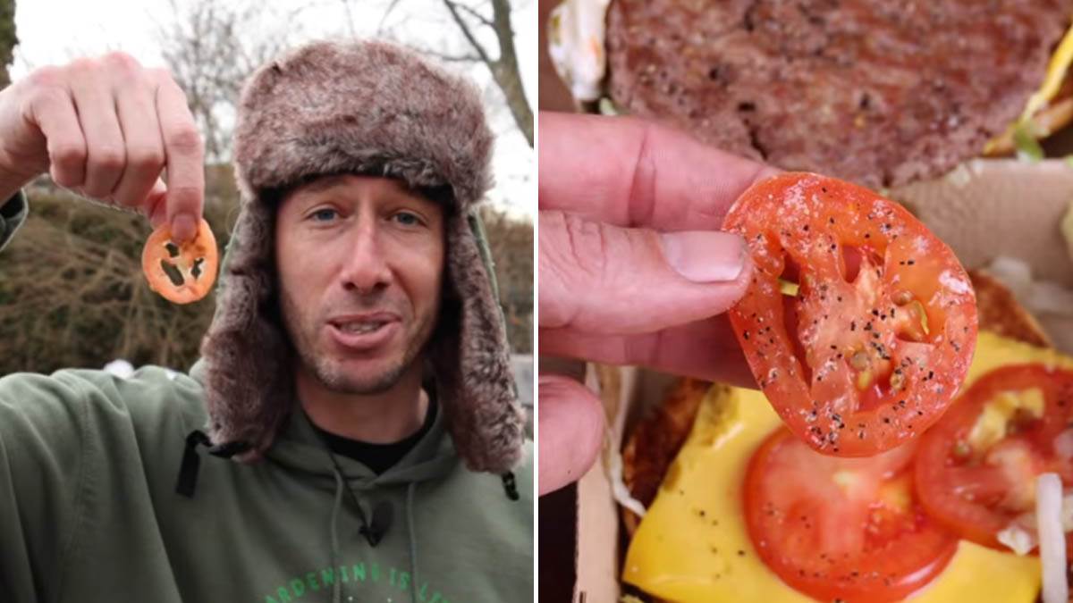 Posadio semenku paradajza iz pljeskavice: Pogledajte šta je izraslo u bašti posle 3 meseca (Video)