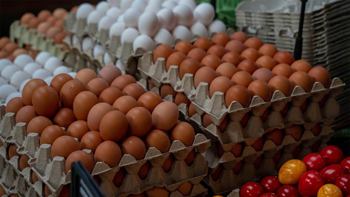 Pitanje pred Uskrs pokrenulo dilemu: U čemu je razlika između smeđih i belih jaja?