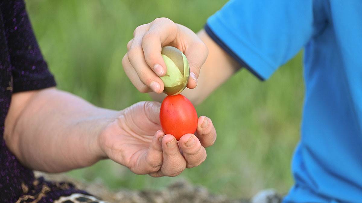 Trik šampiona tradicionalne 