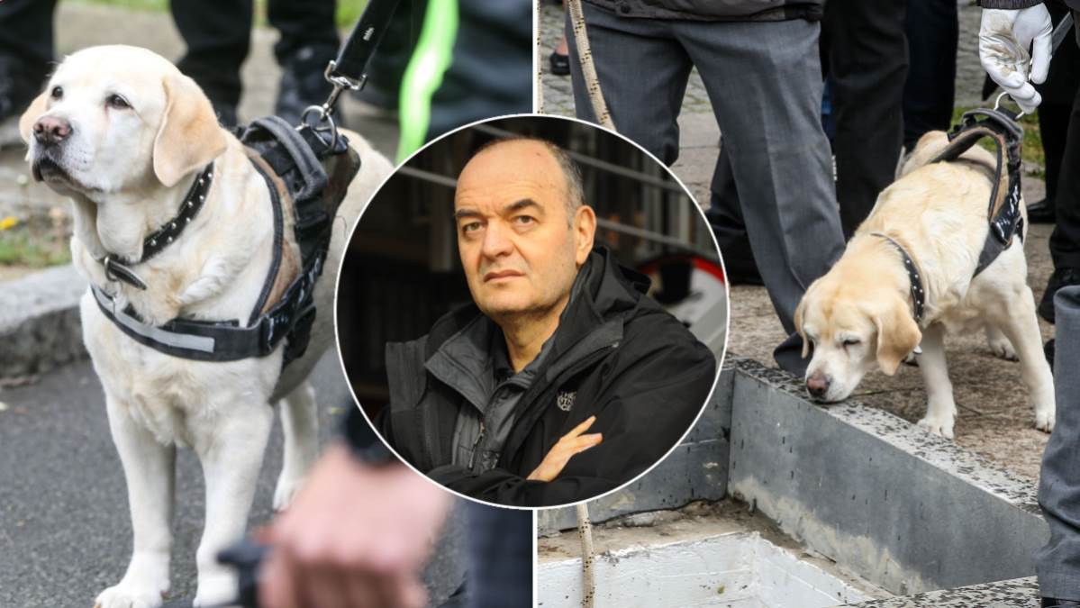 Na čitulji Dušku Vujoševiću pisalo i "drugarica Žuta": Ženka labradora nije se odvajala od kovčega na sahrani