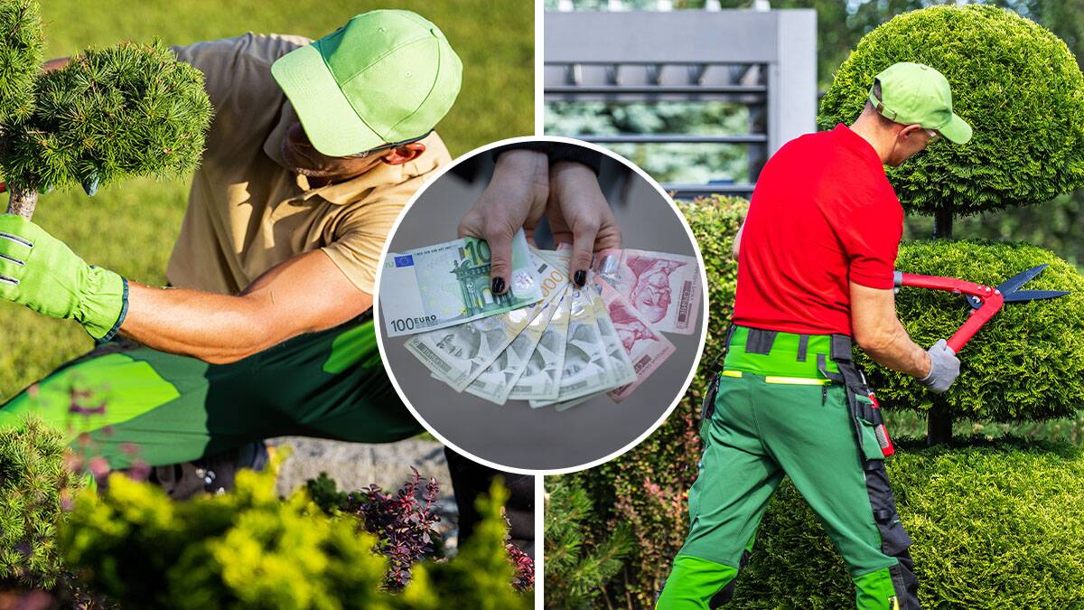 Žena angažovala baštovana na dva sata, pa usledio šok: Umalo nije pala u nesvest kada je rekao cifru