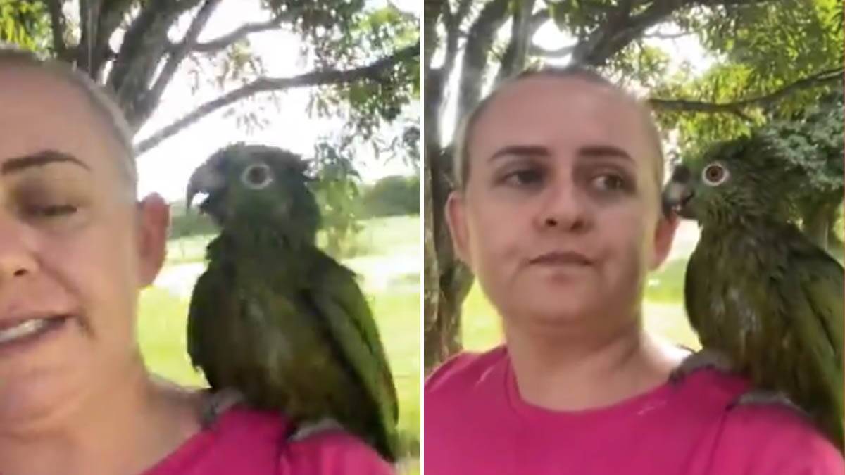 Papagaj odgrizao kabl, pa se žestoko posvađao sa vlasnicom: Hit snimak postao viralan, popraviće vam dan