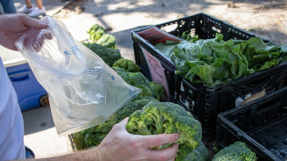 Lekari ga hvale, a mi ga zaobilazimo na svakom ćošku: Ovo povrće štiti pankreas i kontroliše nivo šećera