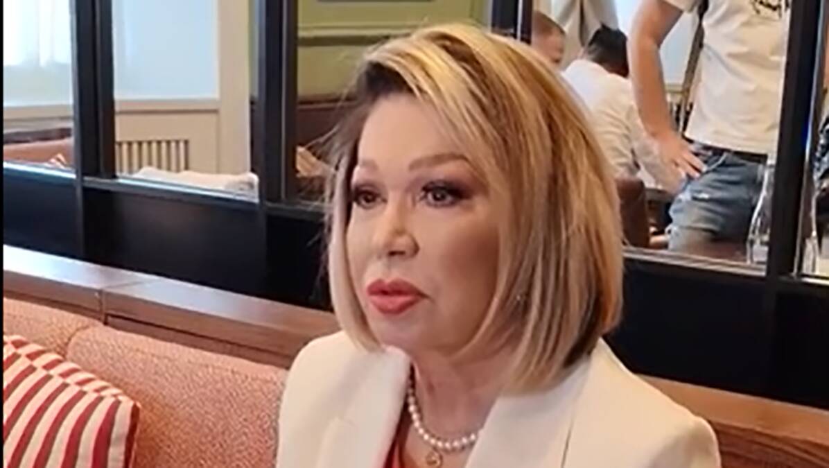 "Devedesete su godine krađa": Neda Ukraden otkrila da su je pokrali i Bugari i Albanci (Video)