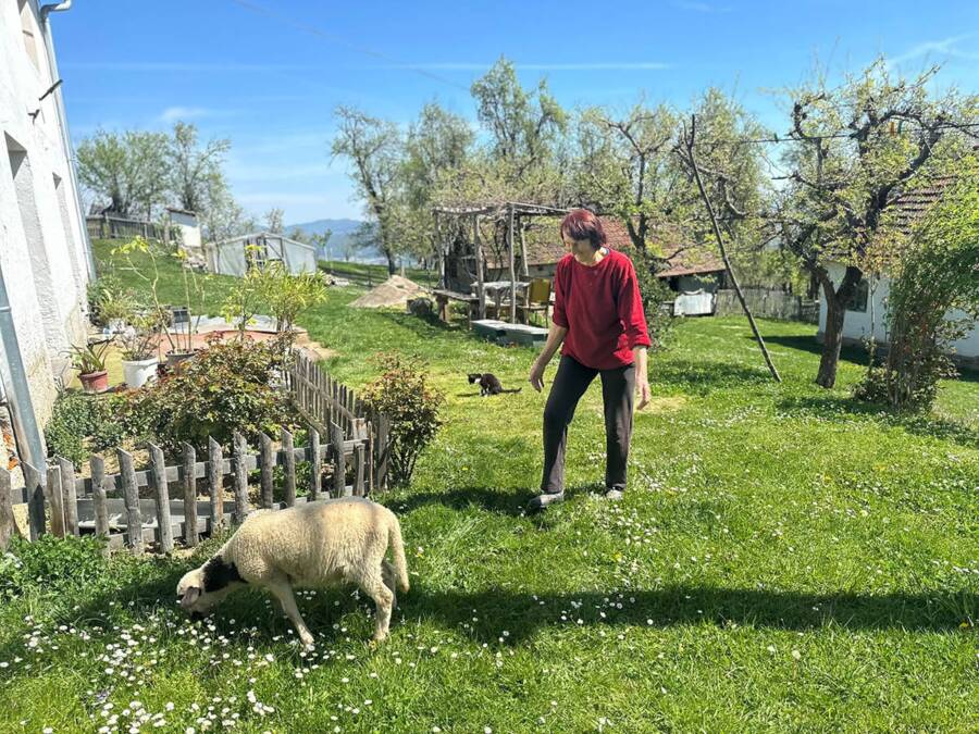 Baka Vera sama vodi imanje kod Požege: Ovo je njena poruka za sve mlade koji žele da se vrate na selo