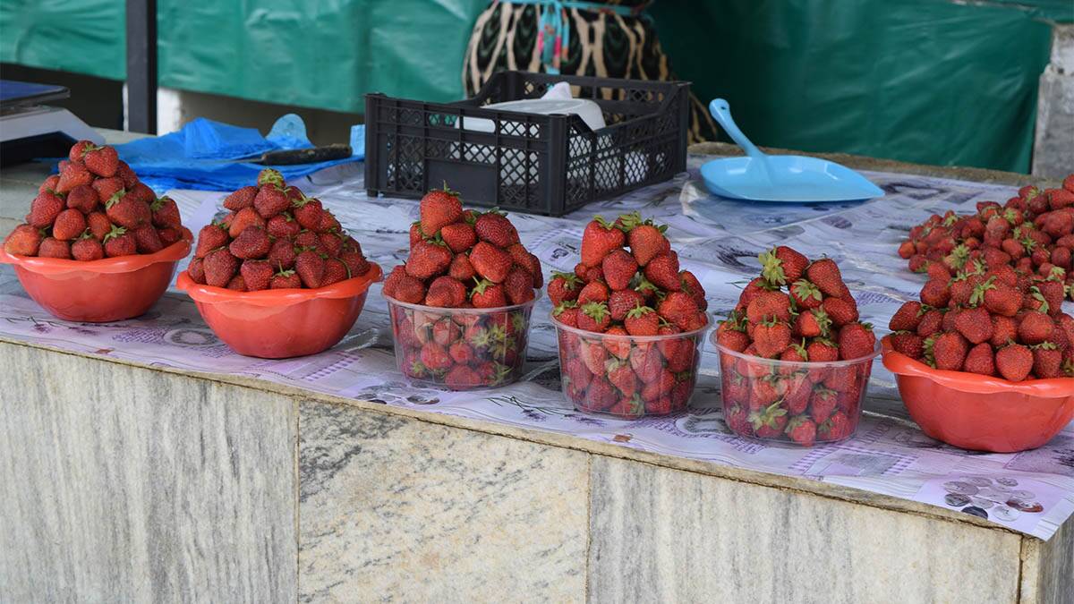 Vidite li ih? 3 jasna dokaza da su jagode pune buđi, a prodavci ih vešto maskiraju na tezgama
