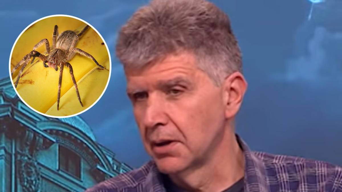 Kraj vijagri? Veterinar Terzin: Ujed brazilskog pauka izaziva erekciju koja traje 4 sata