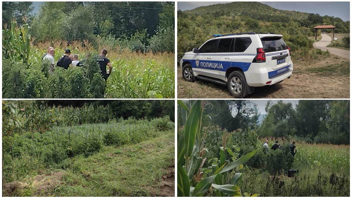 Preneo telo ubijenog komšije u drugo selo da bi pobegao iz Srbije: Nastavljeno suđenje za ubistvo kod Svrljiga