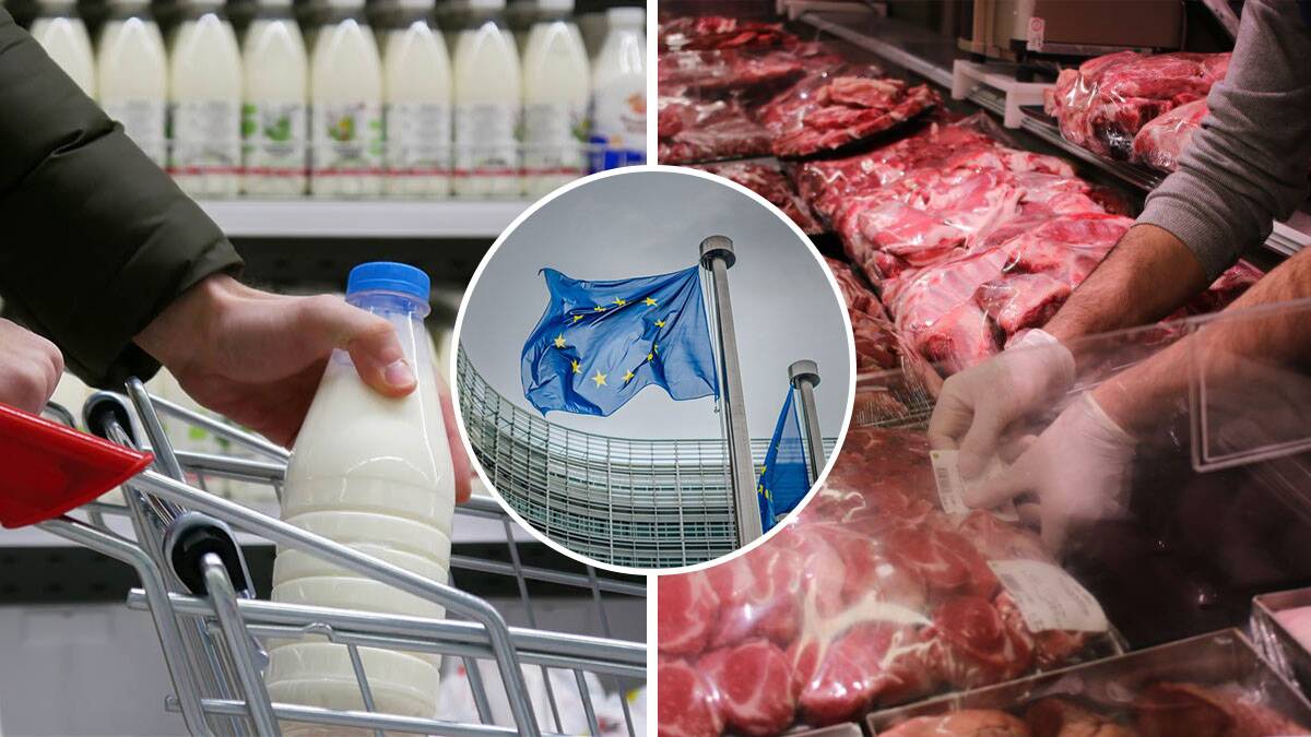 EU uvodi strože uslove za izvoz proizvoda iz Srbije: Poseban fokus na antibiotike u stočarstvu