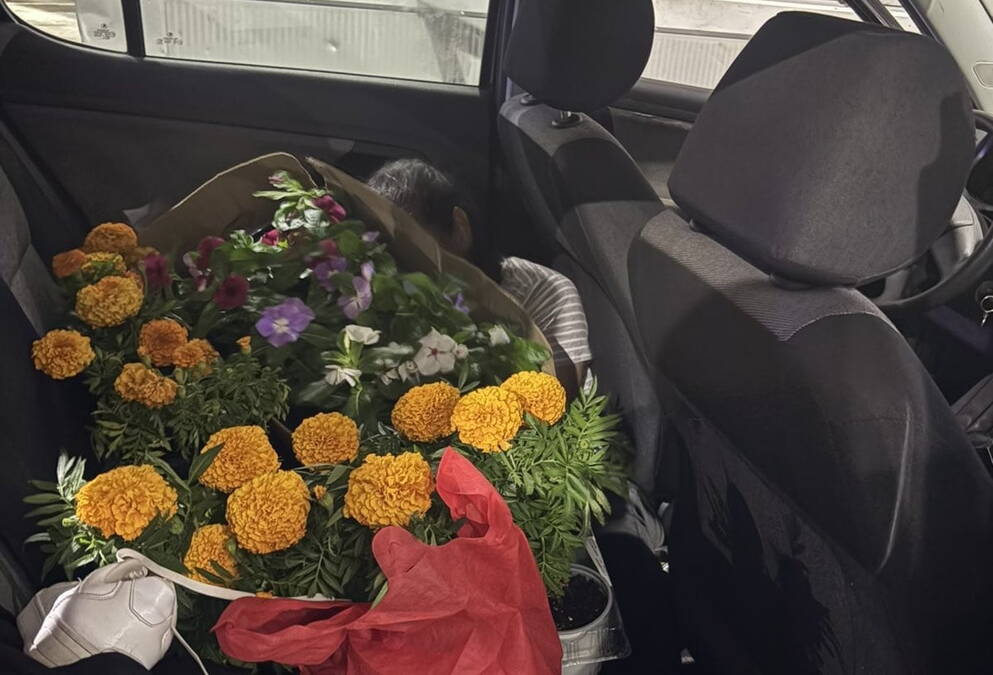 Neverovatan pokušaj krijumčarenja u Crnoj Gori: Policija je ostala u šoku kada je pregledala automobil