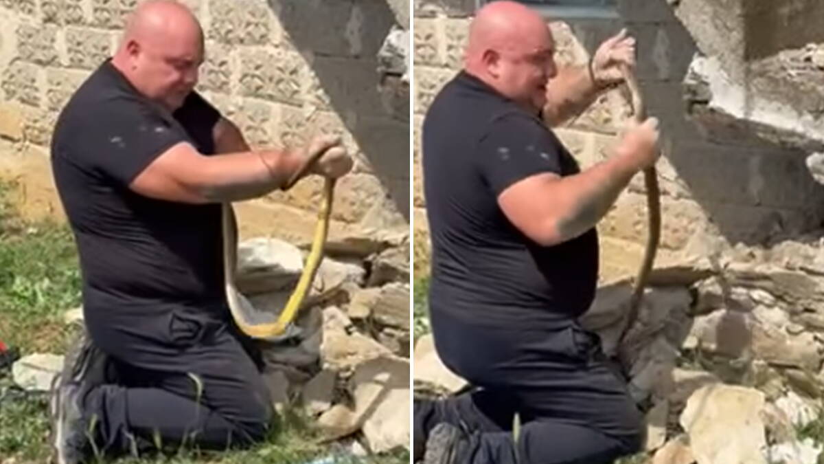 "Majko moja, jao! Gde ćeš, gde si krenuo": Vladica zavukao r