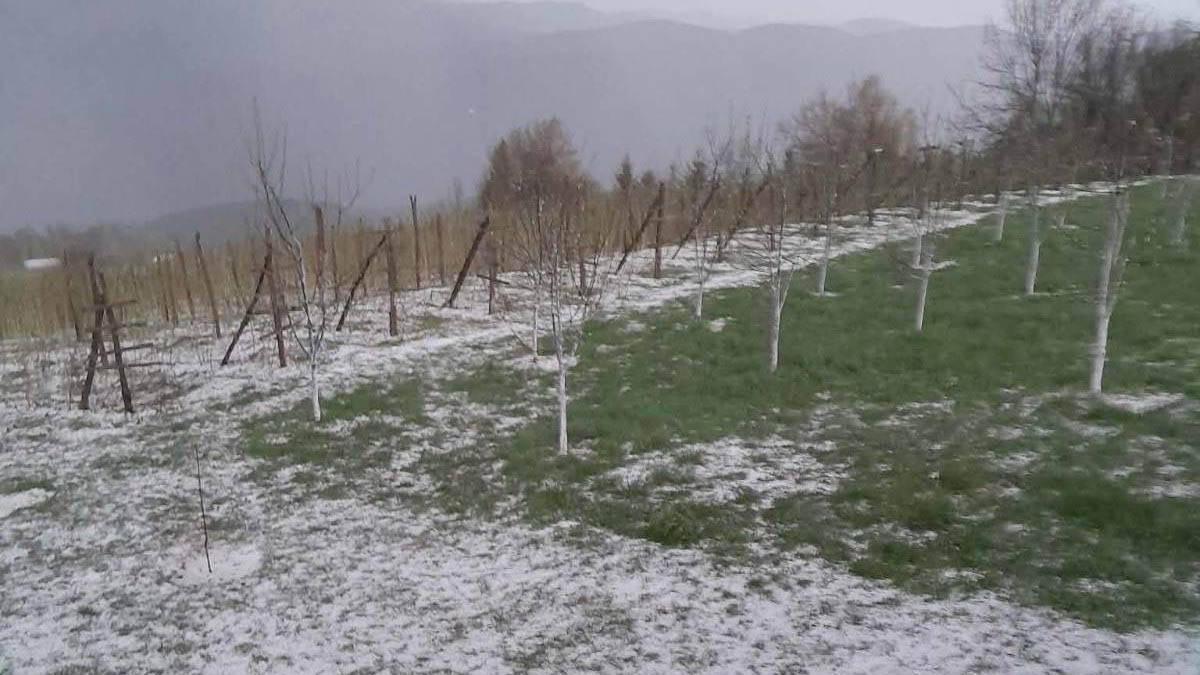 "Dvorište je za nekoliko minuta potpuno obelelo": Jak grad i nevreme protutnjali čačanskim krajem