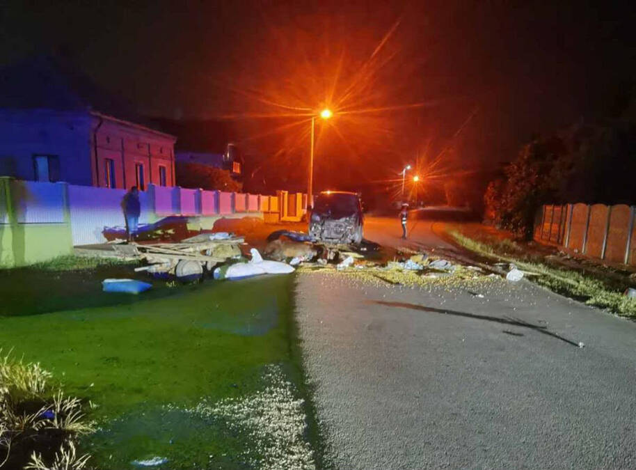 Konj mrtav na mestu, a kočijaš teško povređen: Pijani vozač napravio haos kod Smederevske Palanke