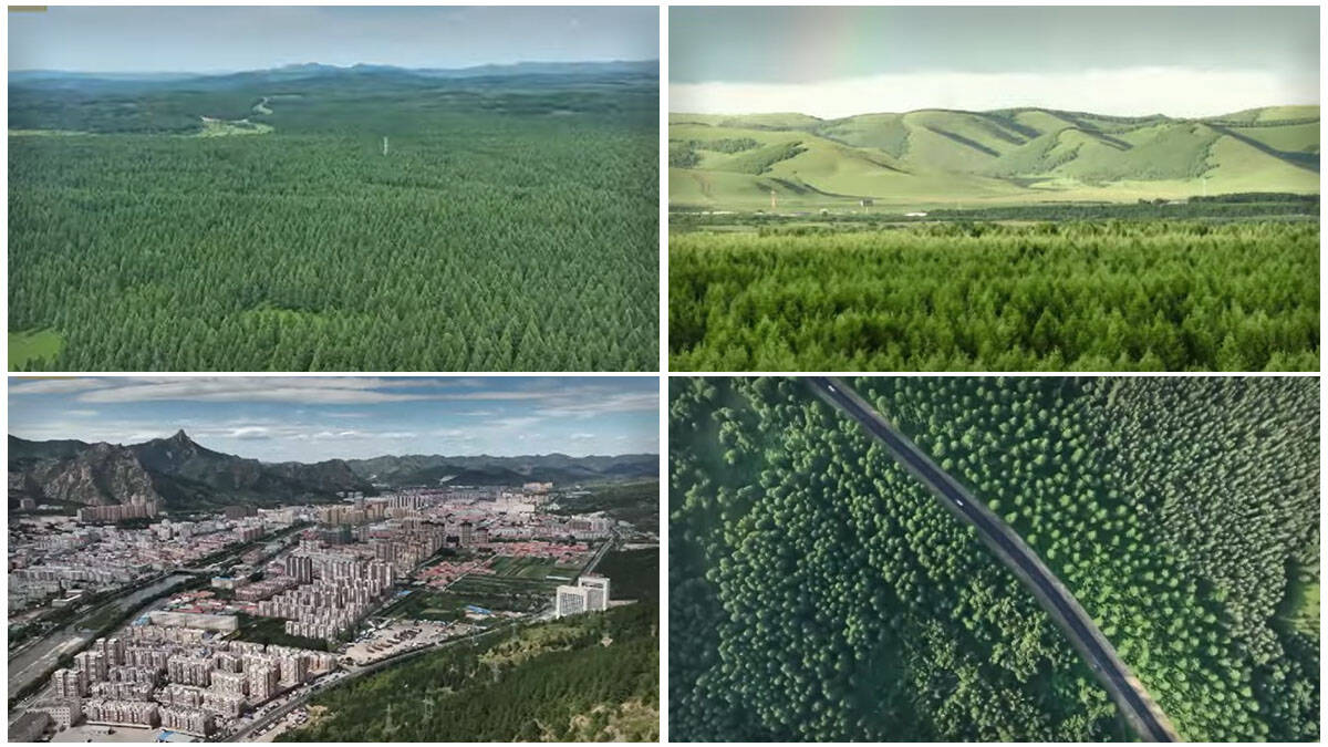 Zasađene šume u "Velikom zelenom zidu" rastu brže od prirodnih: Naučnici zapanjeni, "gutaju" CO₂ brže nego ikad