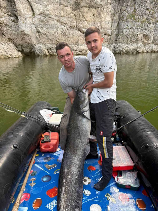 Prepali se kada su videli kolikog džina su upecali: Otac i sin ulovili soma teškog skoro 50 kilograma