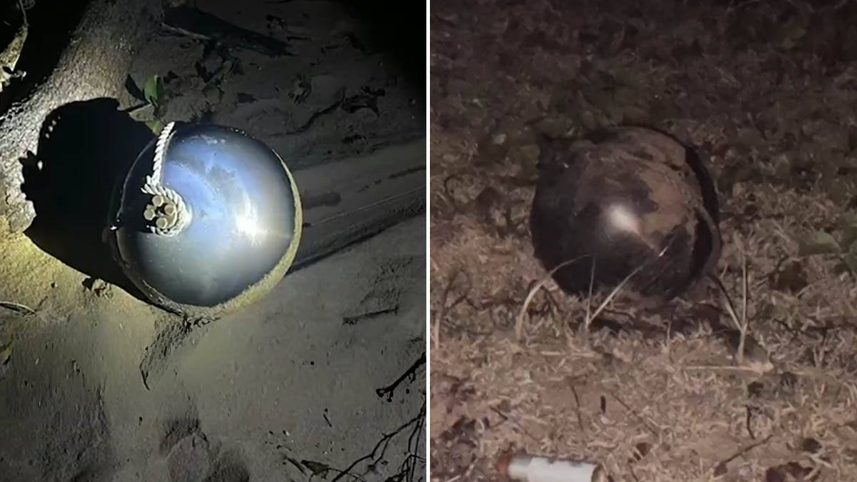 Misteriozne "svemirske lopte" isplivale na plaži: Naučnici istražuju o poreklu i opasnim hemikalijama (Video)