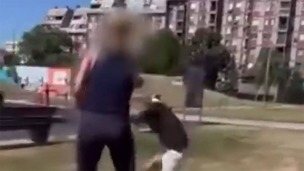 Oglasio se Centar za socijalni rad nakon napada na dečaka u Šapcu: Deca opisala jezive scene u parku (Video)