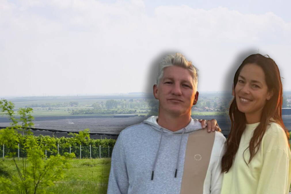 Ana uložila milione u plac, Bastijan bez prava na evro: Jedan detalj sa imanja u Srbiji svima zapao za oko