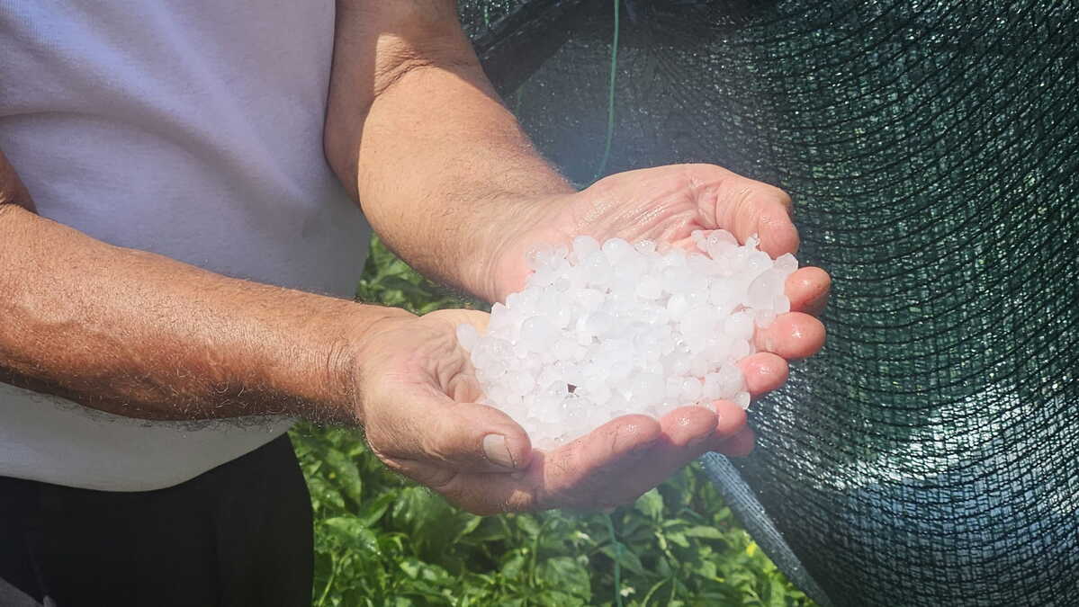 Nevreme napravilo haos u Priboju i Novoj Varoši: Jak grad tukao po selima, letina skoro potpuno uništena