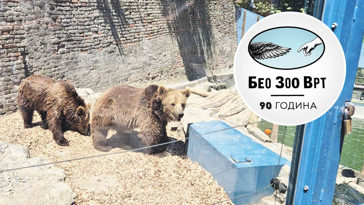 Ovo su najslađe stanovnice Beogradskog zoo vrta: Dunja, Višnja i Jagoda nikog ne ostavljaju ravnodušnim (Foto)