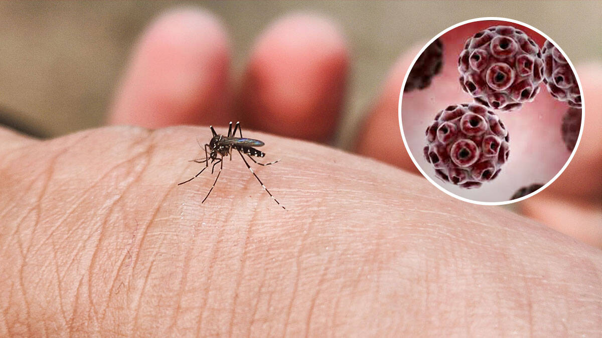 Evropom hara ovaj virus: Više slučajeva potvrđeno blizu granica sa Srbijom
