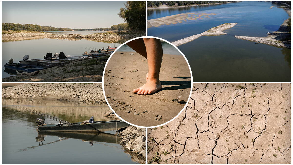 Dunav se povlači, a najgore možda tek sledi: Međunarodna komisija za MONDO upozorila šta nas čeka u avgustu