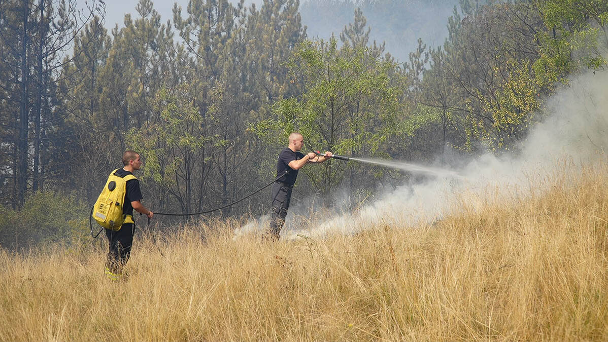 "Situacija je teška, jedva dišemo od dima, nismo spavali uopšte": Potresne ispovesti meštana Ušća nakon požara